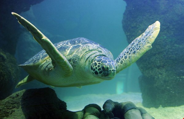 De leukste uitjes voor het hele gezin De leukste uitjes voor het hele gezin